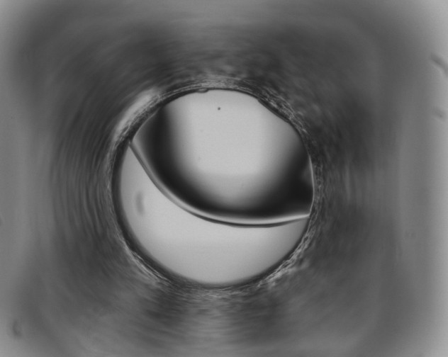 X0000096710197200802051045