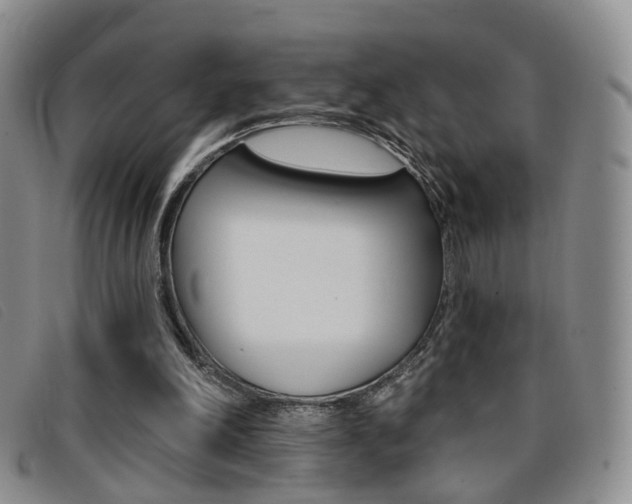 X0000096710198200802051045