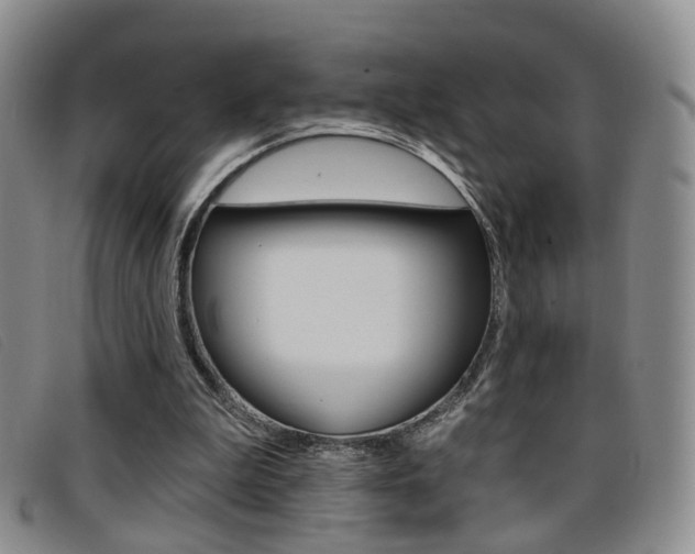 X0000096710199200802051045