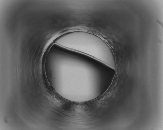 X0000096710200200802051045