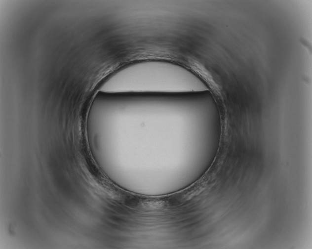 X0000096710202200802051045