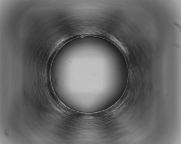 X0000096710203200802051045