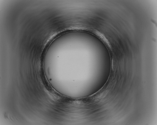 X0000096710204200802051045