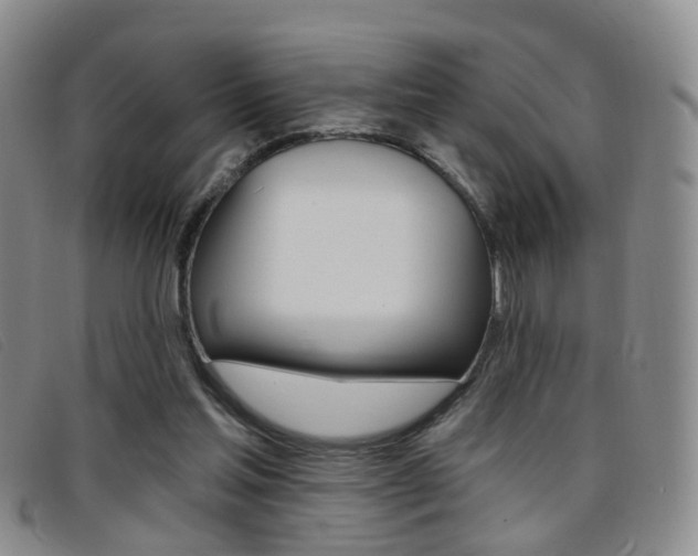 X0000096710205200802051045