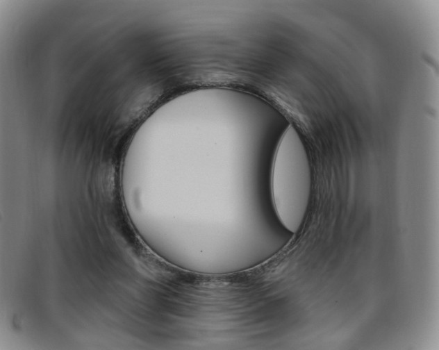 X0000096710206200802051045