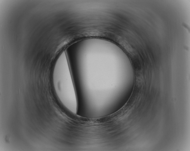 X0000096710207200802051045