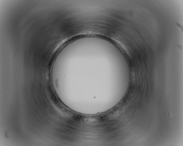 X0000096710208200802051045