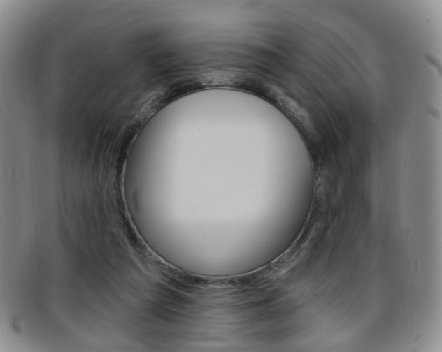 X0000096710209200802051045