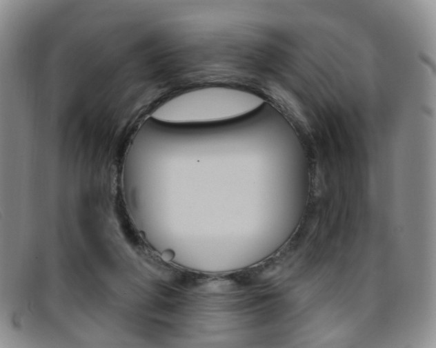 X0000096710210200802051045