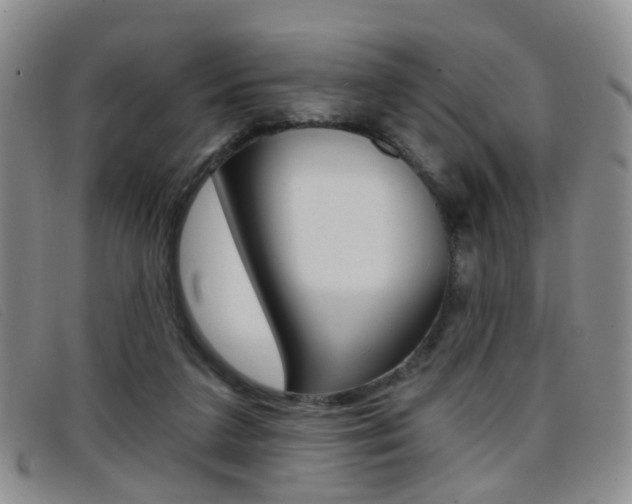 X0000096710211200802051045