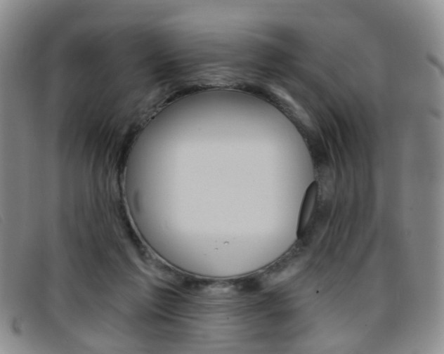 X0000096710213200802051045