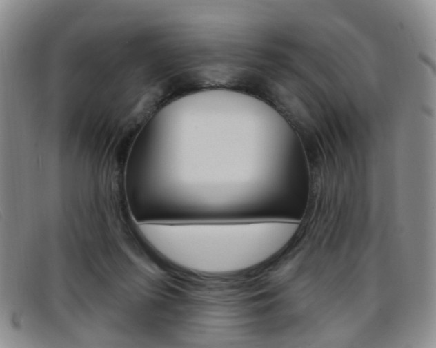 X0000096710215200802051045