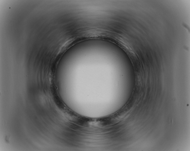 X0000096710216200802051045