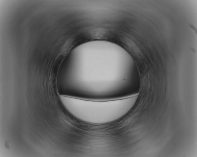 X0000096710217200802051045