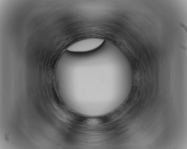 X0000096710218200802051045