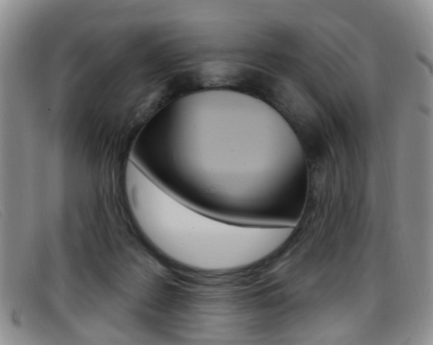 X0000096710219200802051045