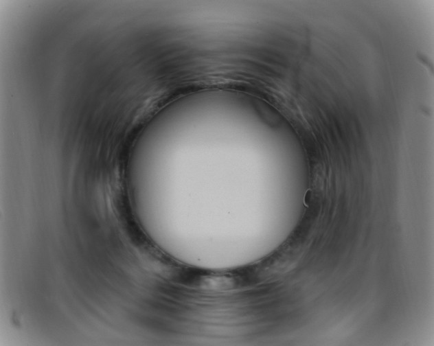 X0000096710220200802051045