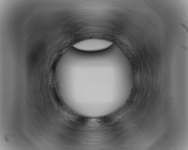 X0000096710222200802051045