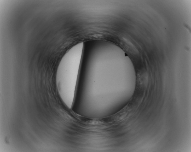 X0000096710223200802051045