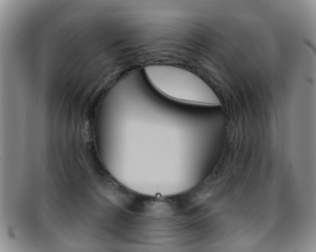 X0000096710224200802051045