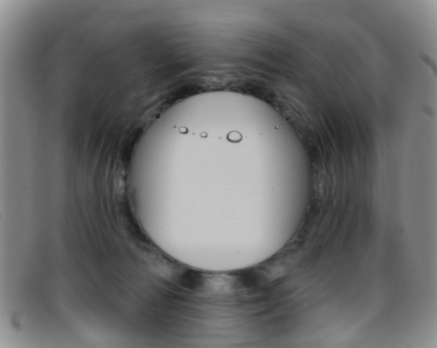 X0000096710226200802051045