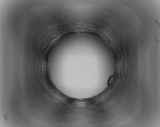 X0000096710228200802051045