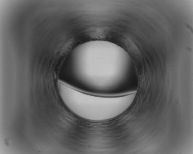 X0000096710229200802051045