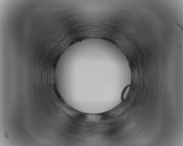 X0000096710234200802051045