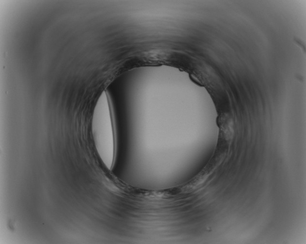 X0000096710235200802051045