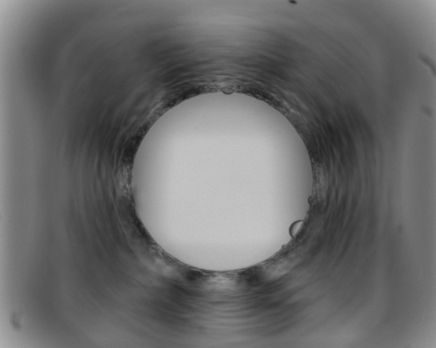 X0000096710236200802051045