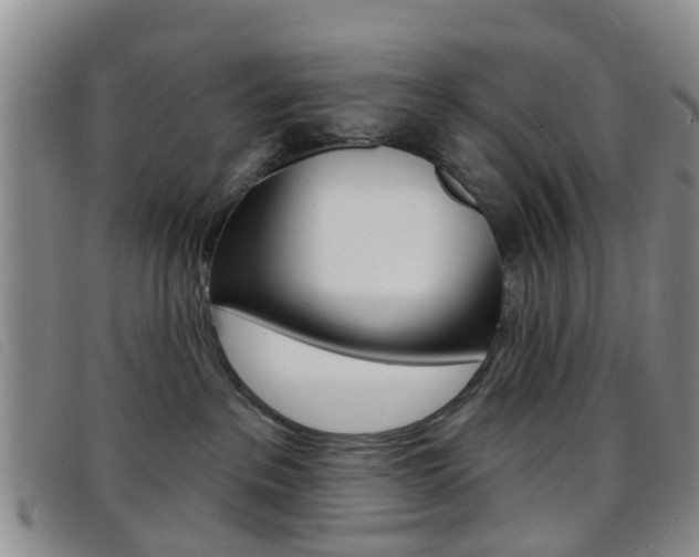 X0000096710237200802051044