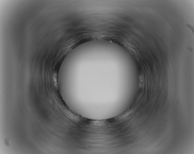 X0000096710238200802051044