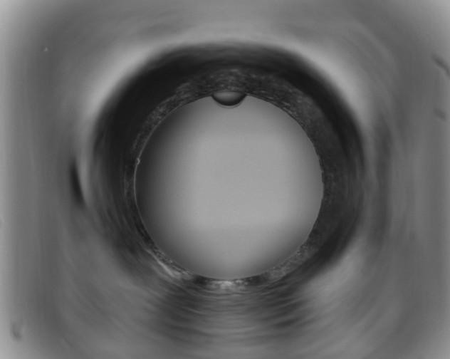 X0000096710239200802051044