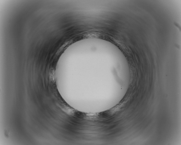 X0000096710240200802051044