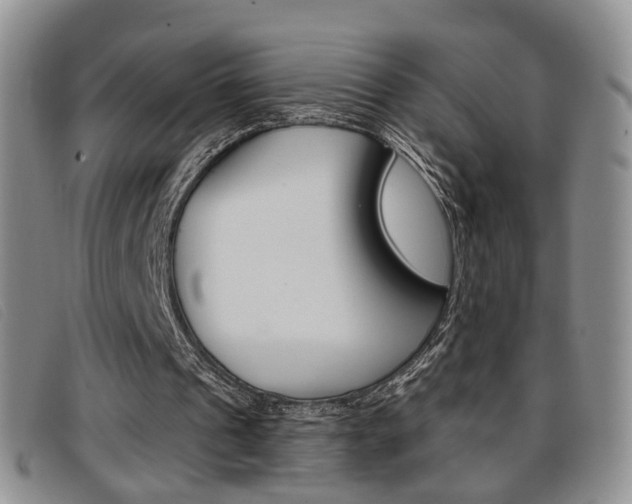 X0000096710241200802051044