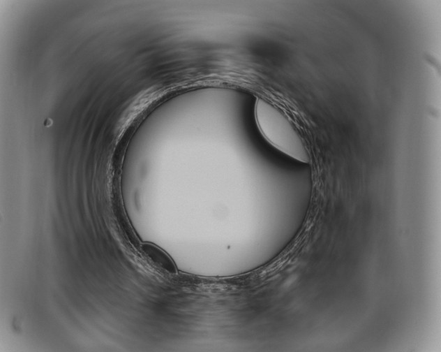 X0000096710242200802051044