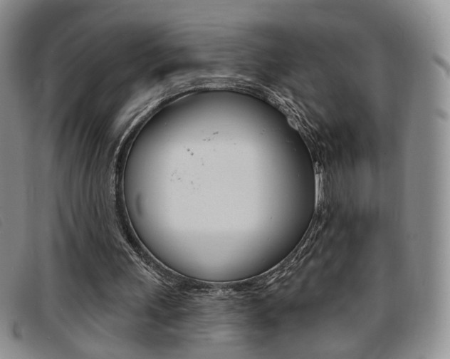 X0000096710243200802051044