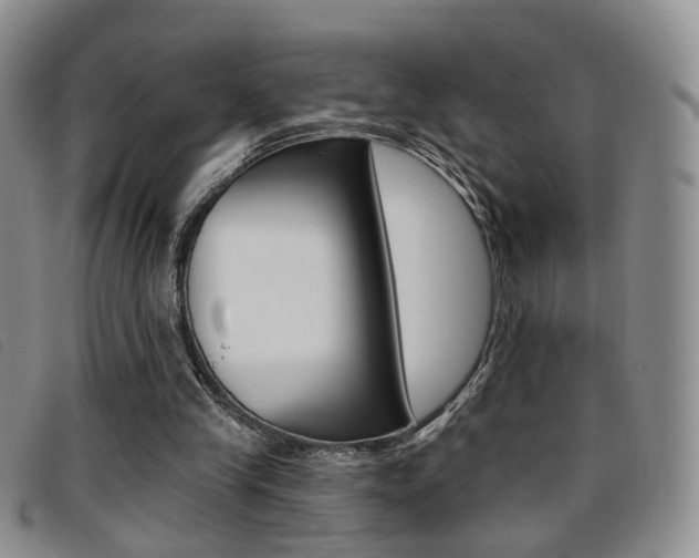 X0000096710245200802051044