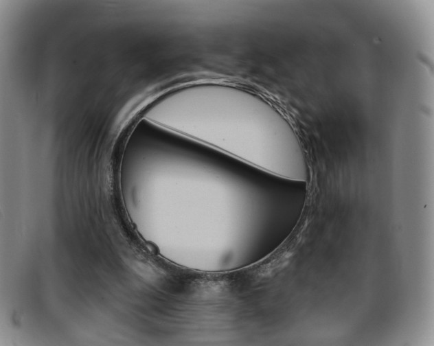 X0000096710247200802051044