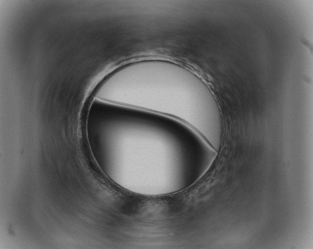 X0000096710248200802051044