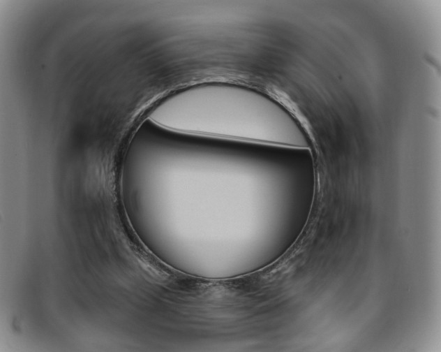 X0000096710249200802051044