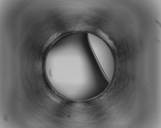 X0000096710250200802051044