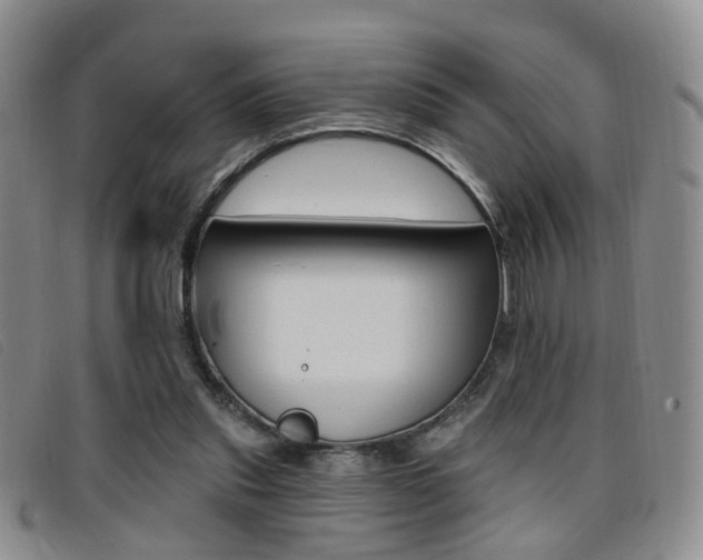 X0000096710253200802051044