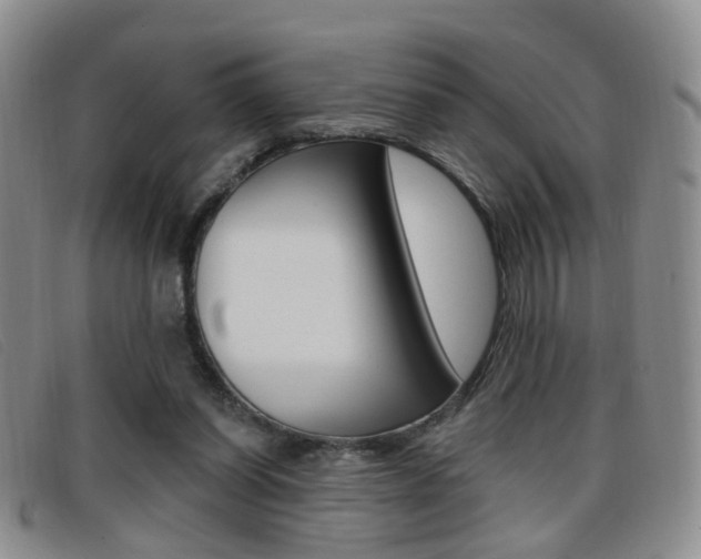 X0000096710254200802051044