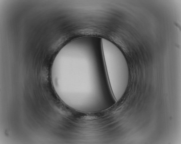 X0000096710255200802051044