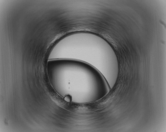 X0000096710256200802051044