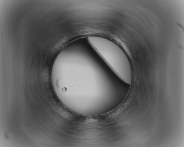 X0000096710257200802051044