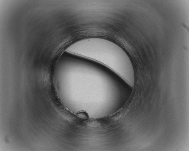 X0000096710258200802051044