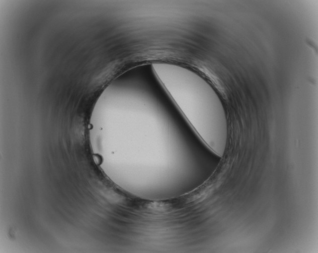 X0000096710261200802051044