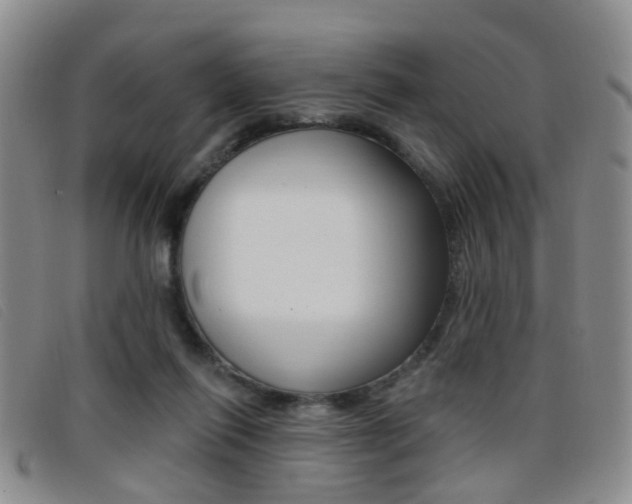 X0000096710262200802051044